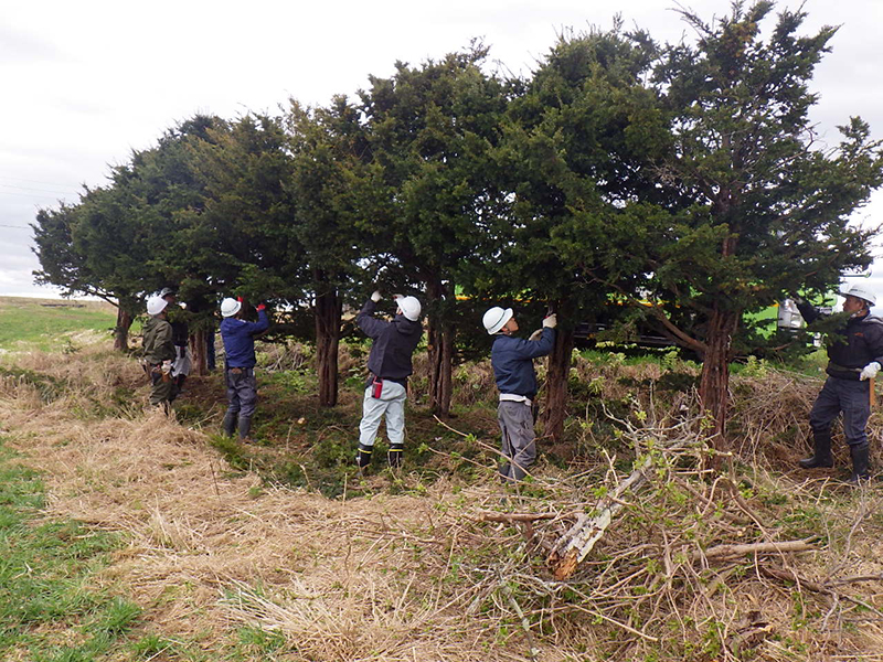 日本庭園 【会社行事（情報）】