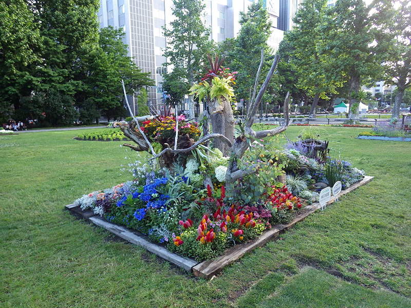 日本庭園 【会社行事（情報）】