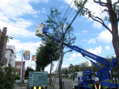 株式会社 日本庭園 維持管理業務